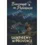 Visual de Escapada encantadora – Saint-Rémy bajo las estrellas