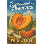 Melón de la Provenza – Sabor del Sol