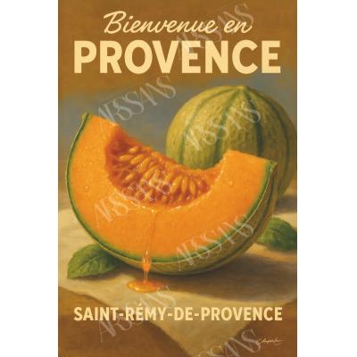 Melon de Saint-Rémy – Chair d’Été