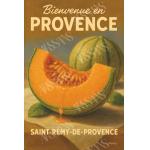 Melón de Saint-Rémy – Pulpa de Verano
