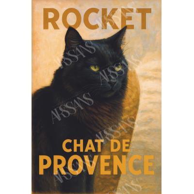 Rocket - Gatto di Provenza