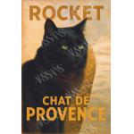 Rocket - Gato de la Provenza
