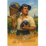 Vendangeur de Provence